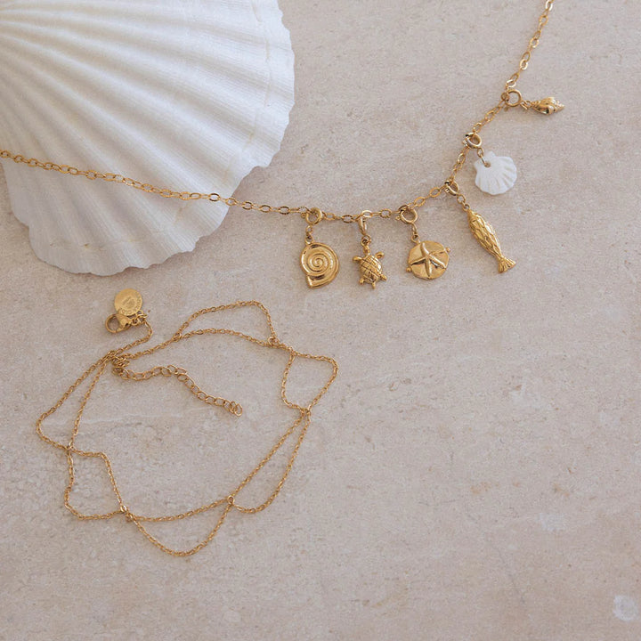 Colar Marinho Com Charms